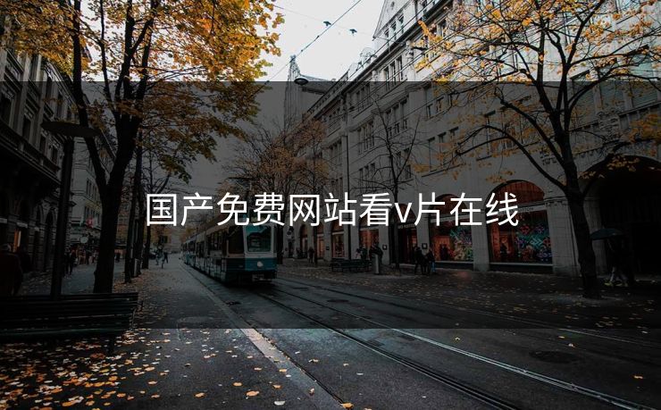 国产免费网站看v片在线