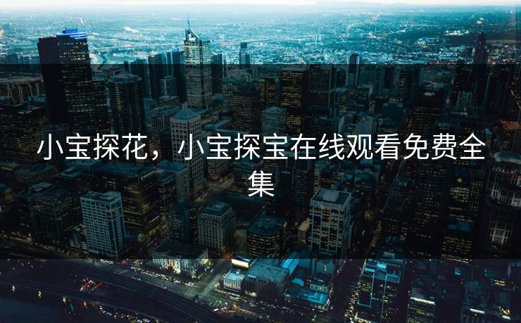 小宝探花，小宝探宝在线观看免费全集