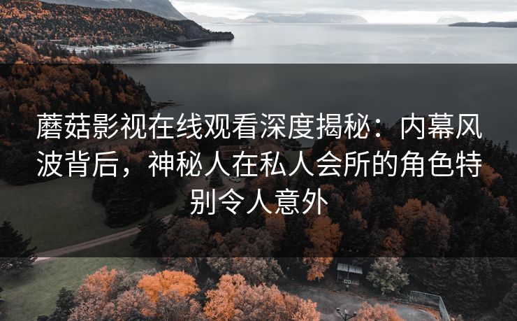 蘑菇影视在线观看深度揭秘：内幕风波背后，神秘人在私人会所的角色特别令人意外